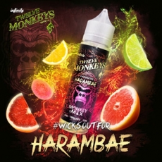 Twelve Monkeys Harambae (50ml)