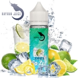 Hayvan Juice Cool Ga-Zoz Aroma 10ml