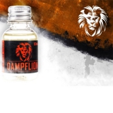 Dampflion Orange Lion